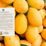 Carbide ripened mango: వేసవిలో మామిడి కొనుగోలులో జాగ్రత్తలు – రసాయనాలతో పండించిన పండ్లపై పోలీసుల హెచ్చరిక