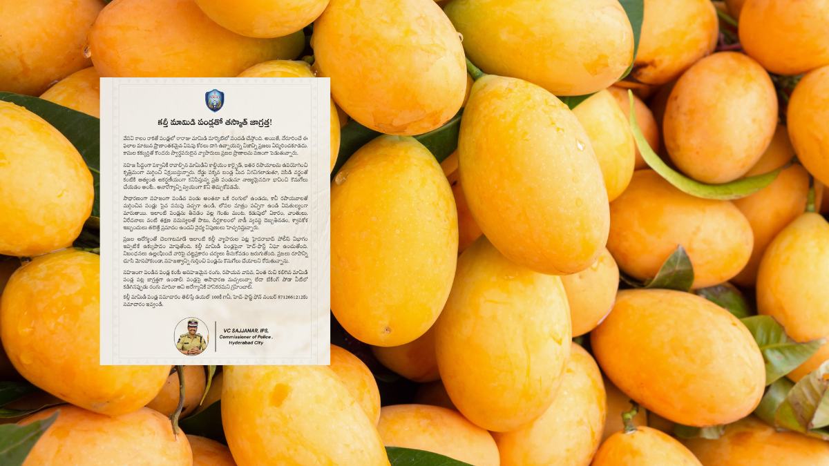 Carbide ripened mango
