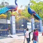 కేబీఆర్ పార్క్ చుట్టూ ట్రాఫిక్ టెస్ట్.. ఆదివారం నగరానికి కొత్త రూల్స్!
