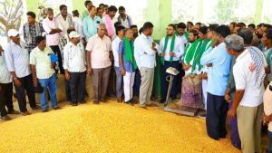 Sircilla Paddy Purchase Centres