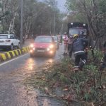 హైదరాబాద్‌లో నిన్న రాళ్ల వర్షం బీభత్సం – 53 చెట్లు కూలాయి, వాహనాలు ధ్వంసం
