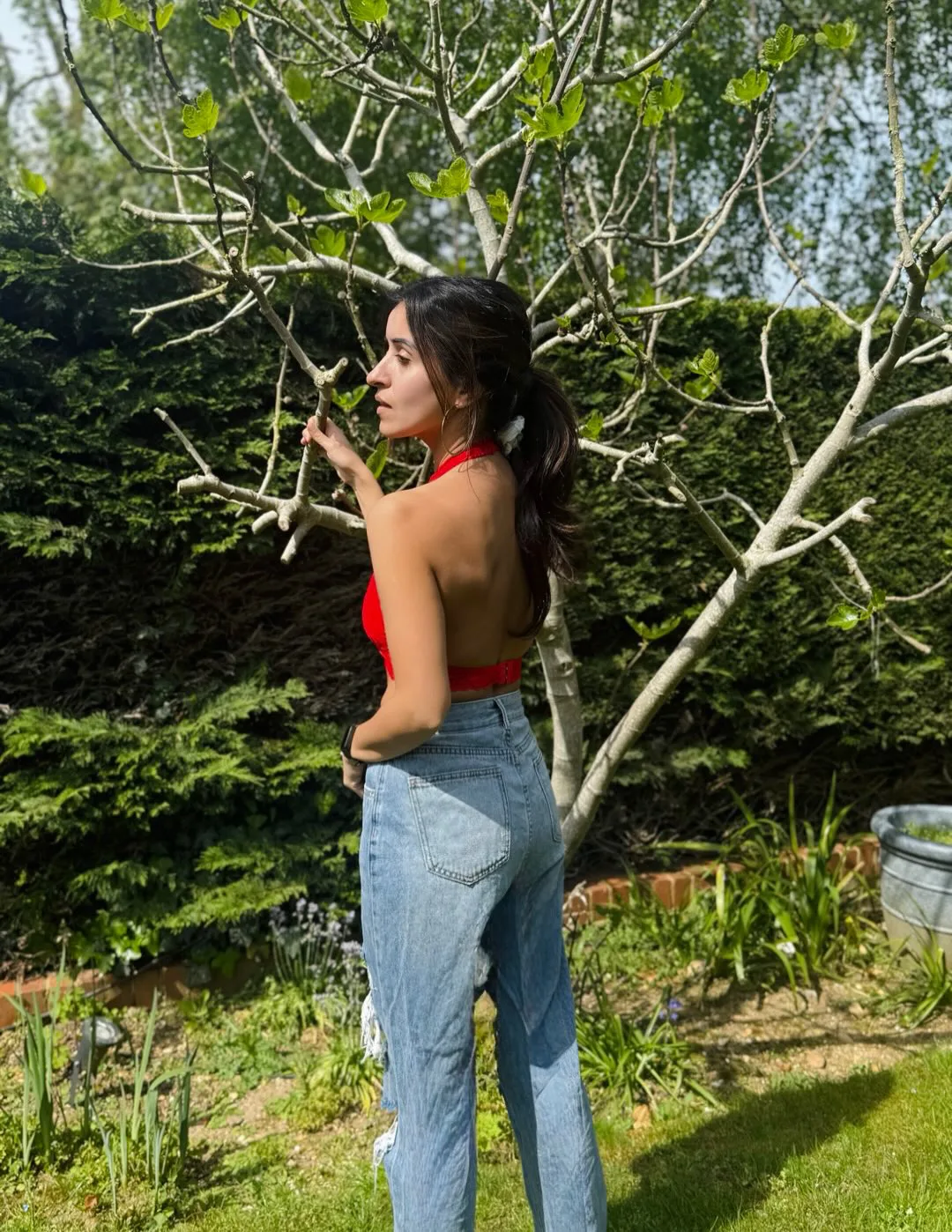 manmadhudu heroine anshu stunning photos viral on social media