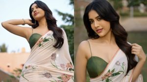 nabha natesh latest photo gallery