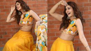 pragya jaiswal latest cute photo shoot