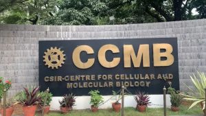 CCMB