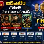 ఆదివారం టీవీలో సినిమాల సందడి.. ‘ధురంధర్’, ‘మౌగ్లీ 2025’ ప్రీమియర్లు, IPL ఫైనల్ ప్రత్యేక ఆకర్షణ