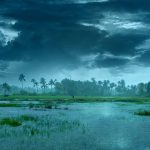 రెండురోజుల్లో తెలంగాణకు నైరుతి.. రైతాంగానికి తీపికబురు చెప్పిన ఐఎండీ..!