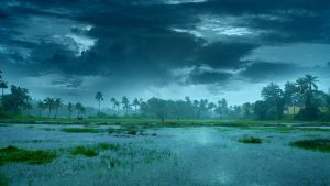 Southwest Monsoon Likely to Enter Telangana Between June 10 and 12