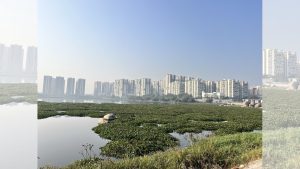Nallagandla Lake