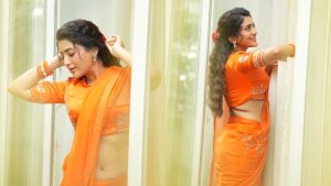 Rashi Singh Orange Saree Photos