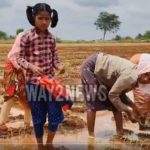 చిన్నారి మనసా విజ్ఞప్తికి స్పందించిన లోకేశ్.. హాస్టల్ సీటు కల్పిస్తానంటూ భరోసా