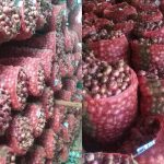 Onion Price 2026:రైతులకు మద్దతుగా కేంద్రం కీలక నిర్ణయం.. క్వింటాల్ ఉల్లి ధర రూ. 2,125!