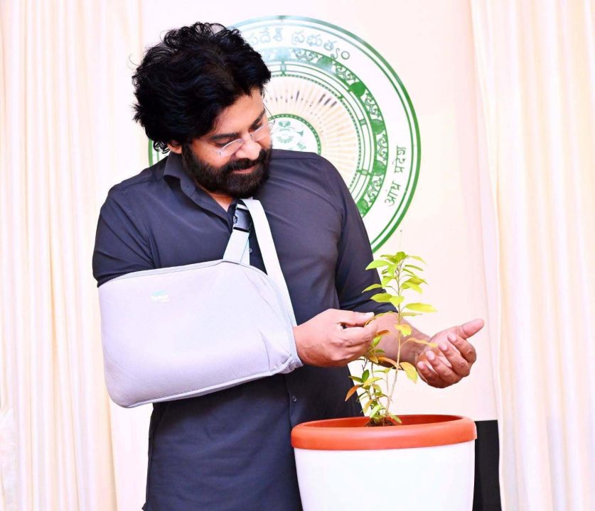 Pawan Kalyan Names Newly Discovered Plant Species in Tirupati