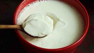 eating curd at night