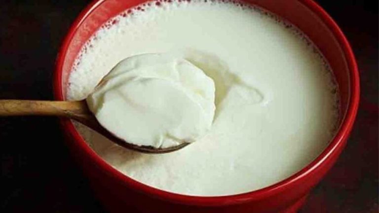 eating curd at night