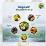 వర్షాకాలంలో ఈ 6 పండ్లు తినాల్సిందే.. రుచితో పాటు రోగనిరోధక శక్తి!