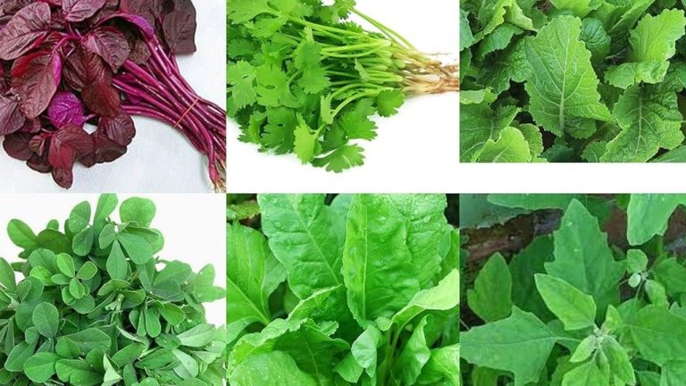 aakukuralu health tips