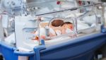 australia-queensland-superfetation-surrogacy-twins-different-parents