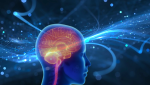 brain-damaging-habits-change-immediately