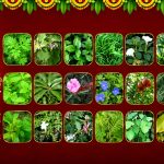 Vinayaka Chavithi 2026: వినాయక చవితి పూజలో ఉపయోగించే 21 రకాల పత్రాలు ఇవే.. పేర్లు, విశిష్టత తెలుసుకోండి