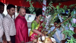 Jammi Tree Vijayadashami