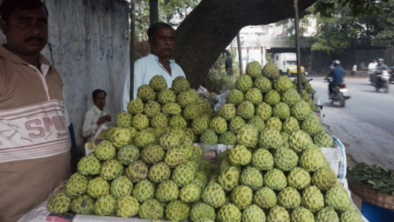 సీతాఫలం దిగుబడి