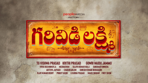 Garividi Lakshmi Collections