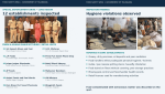 Hyderabad Food Safety Raids