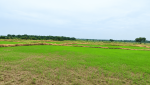 Khammam Drought
