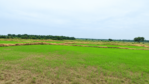 Khammam Drought