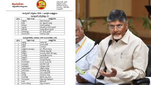 TDP Municipal Elections 2026 Candidates List
